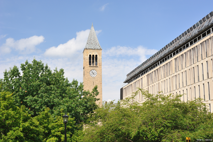 康奈尔大学专业,康奈尔大学申请条件