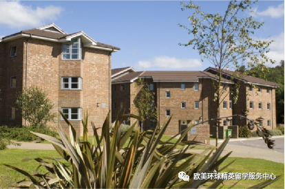 英国留学院校,萨塞克斯大学专业