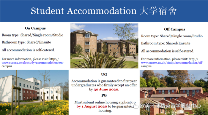 英国留学院校,萨塞克斯大学专业