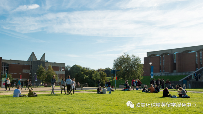 萨塞克斯大学专业,萨塞克斯大学申请条件