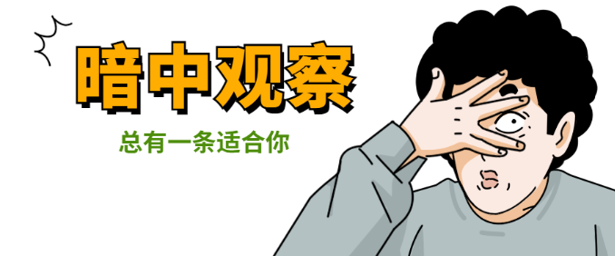 美国本科留学